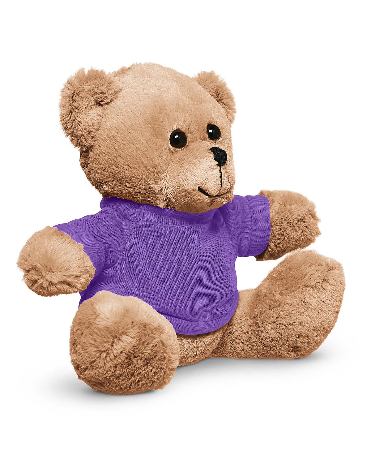 7" Plush Bear with T-Shirt (TY820)